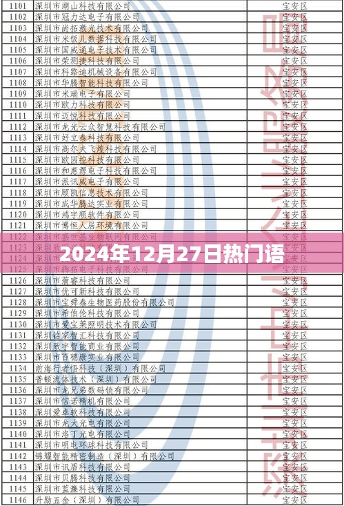 2024年12月27日流行热语速递，符合您的字数要求，突出了时间性和热点内容，适合用于吸引用户点击和了解相关内容。