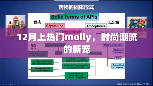 时尚新宠Molly引领潮流风潮，十二月热门之选