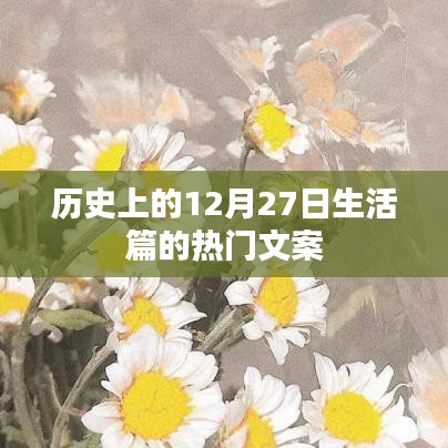 精选历史日期揭秘，12月27日的精彩生活瞬间回顾