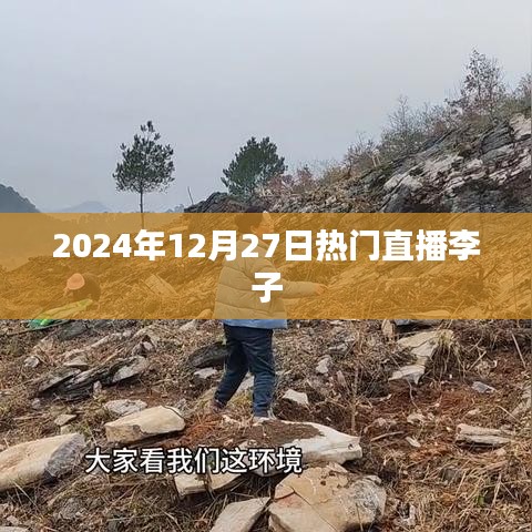 李子直播热潮，2024年12月27日热门直播