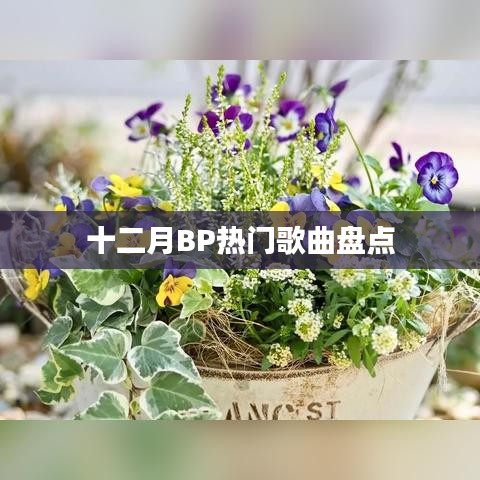 十二月BP热门歌曲盘点推荐