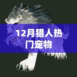 12月猎人热门宠物选择指南