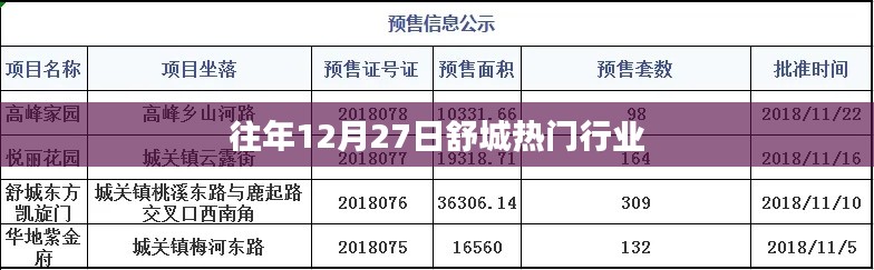 舒城热门行业概览，历年12月27日市场趋势分析