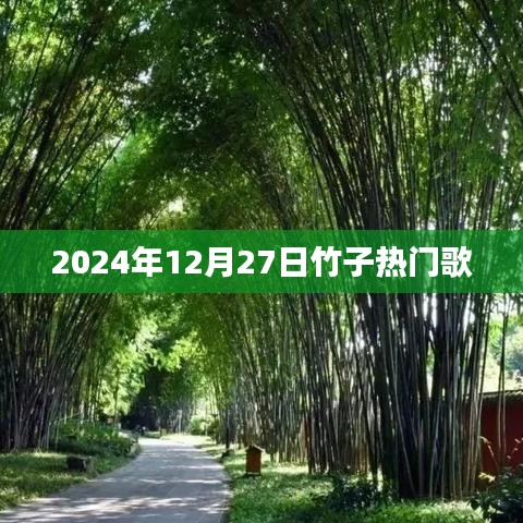 竹子热门歌曲榜，2024年12月27日精选推荐