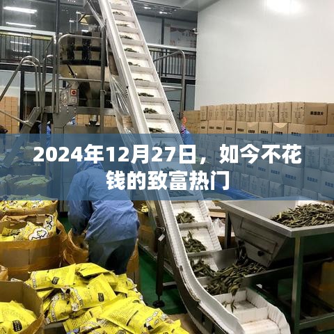 不花钱致富热门，探索2024年最新机遇