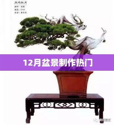 新闻中心 第174页