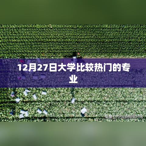 热门大学专业解析，深度探讨热门专业趋势