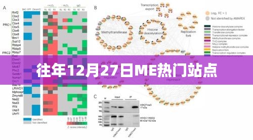 往年12月27日ME热门站点概览