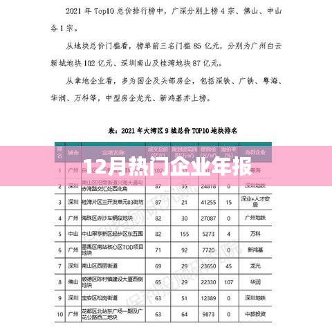 12月企业年报热点解析