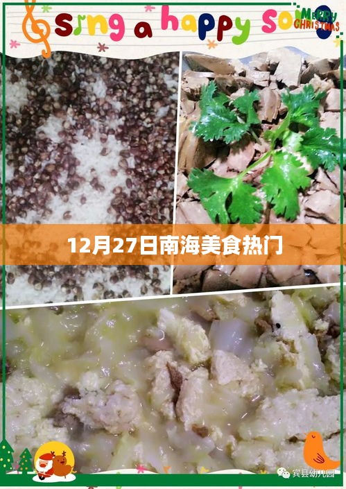 南海美食盛宴，12月27日热门美食推荐