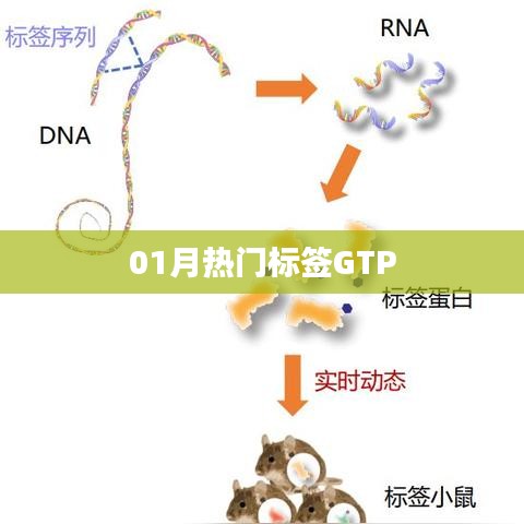 电缆桥架（各种材质） 第155页