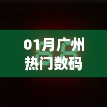 广州数码管电话查询，最新热门联系方式公布