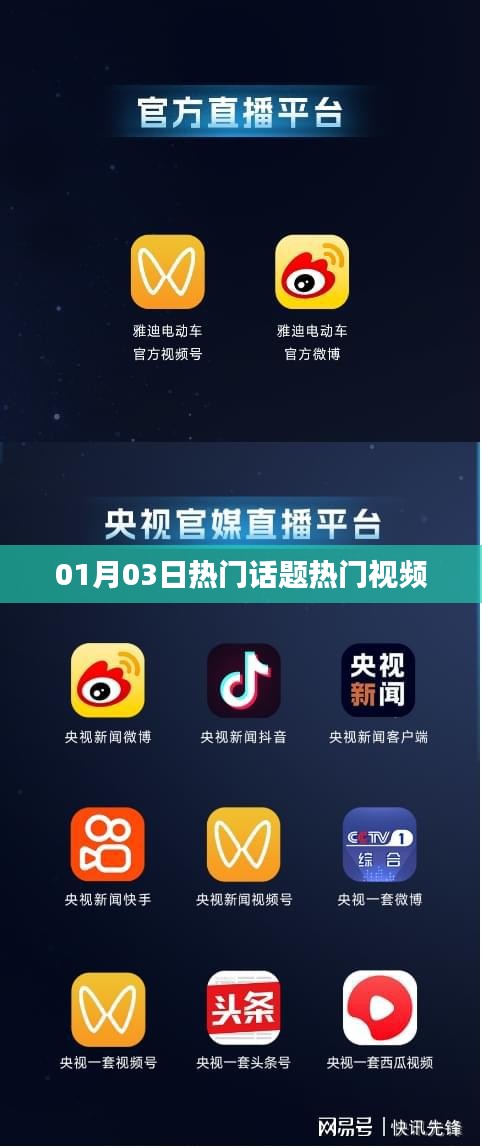 热门话题与视频速递，01月03日焦点时刻