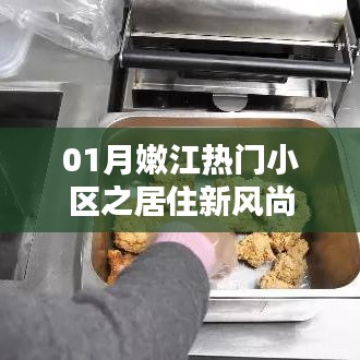 嫩江热门小区居住新风尚揭秘