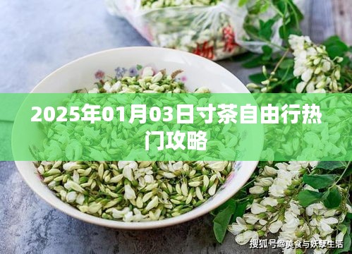 寸茶自由行，2025年热门攻略来啦！