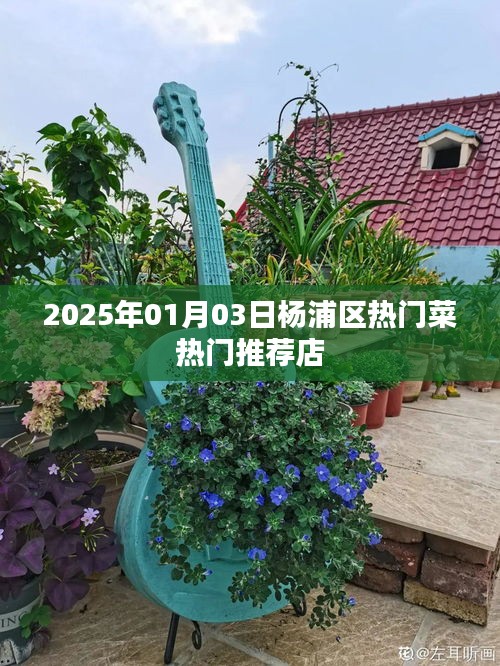 杨浦区美食推荐，2025年热门菜餐厅榜单