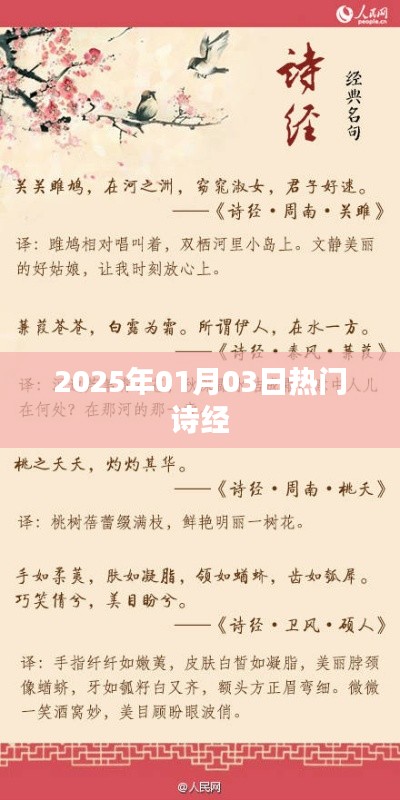 『诗经文化盛宴，探寻2025年热门诗篇』