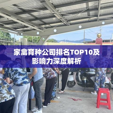 家禽育种公司排名TOP10及影响力深度解析