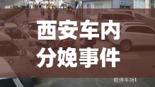 西安车内分娩事件最新进展，紧急救援与后续关注