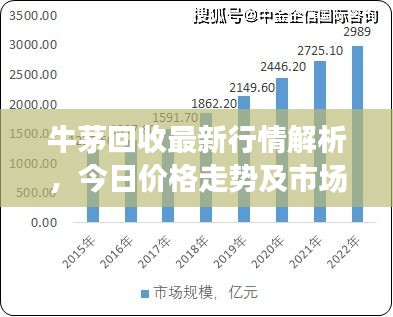 牛茅回收最新行情解析，今日价格走势及市场影响因素探讨