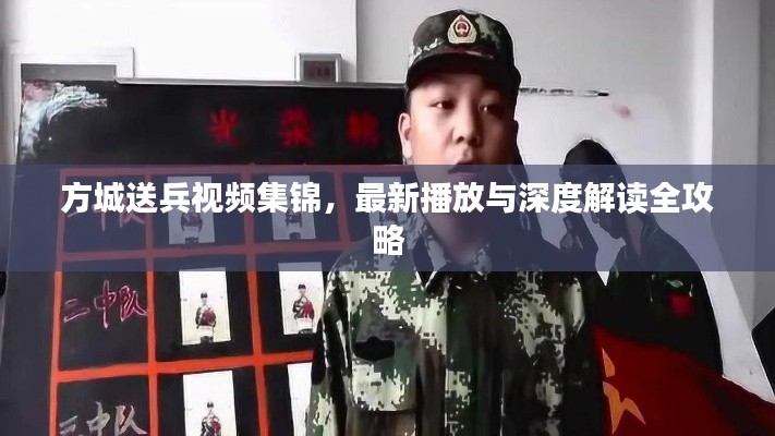 方城送兵视频集锦，最新播放与深度解读全攻略