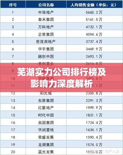 芜湖实力公司排行榜及影响力深度解析