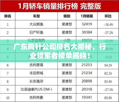 广东胸针公司排名大揭秘，行业领军者榜单揭晓！