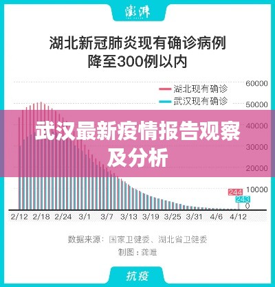 武汉最新疫情报告观察及分析