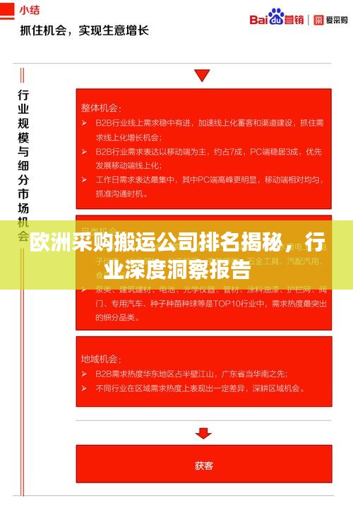 欧洲采购搬运公司排名揭秘，行业深度洞察报告