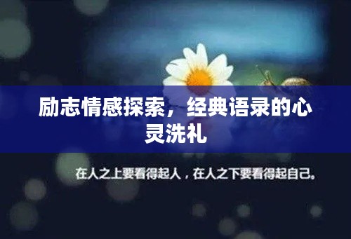 励志情感探索，经典语录的心灵洗礼