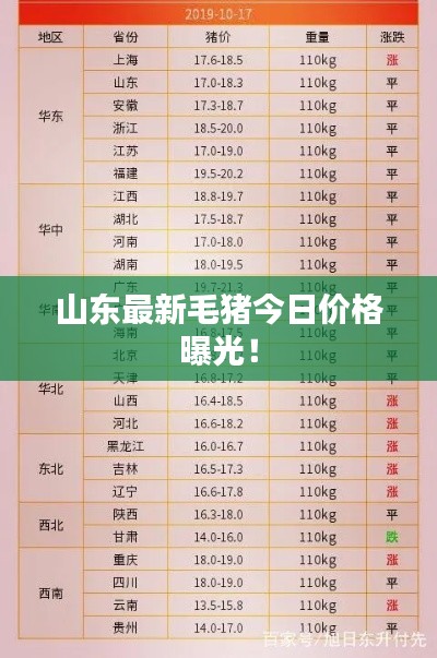 山东最新毛猪今日价格曝光！