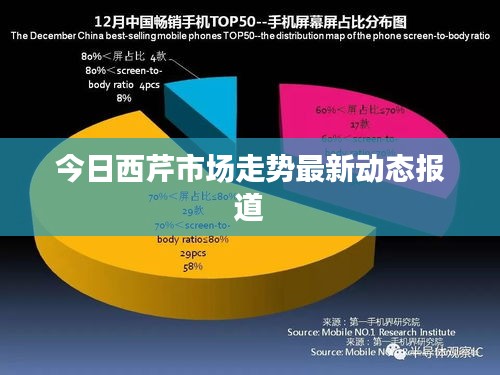 今日西芹市场走势最新动态报道