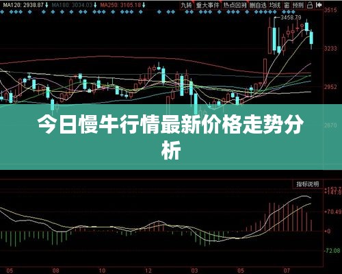 今日慢牛行情最新价格走势分析