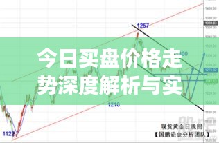 今日买盘价格走势深度解析与实时观察