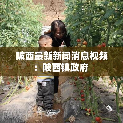 陂西最新新闻消息视频：陂西镇政府 