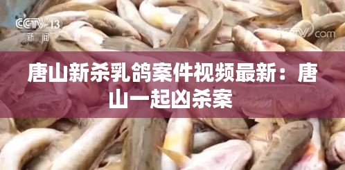 唐山新杀乳鸽案件视频最新：唐山一起凶杀案 