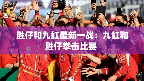 胜仔和九红最新一战：九红和胜仔拳击比赛 