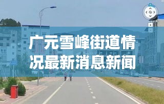 广元雪峰街道情况最新消息新闻：广元市雪峰街道办事处 