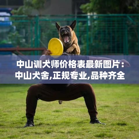 中山训犬师价格表最新图片：中山犬舍,正规专业,品种齐全,纯种健康当面挑送用品 