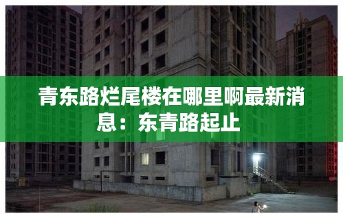 青东路烂尾楼在哪里啊最新消息：东青路起止 