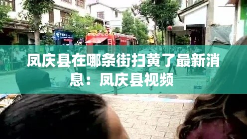 凤庆县在哪条街扫黄了最新消息：凤庆县视频 