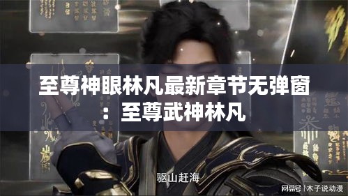 至尊神眼林凡最新章节无弹窗：至尊武神林凡 