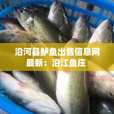 沿河县鲈鱼出售信息网最新：沿江鱼庄 