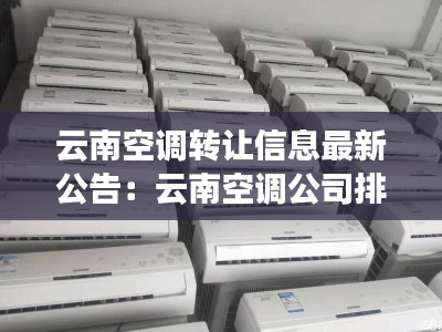 云南空调转让信息最新公告：云南空调公司排名 