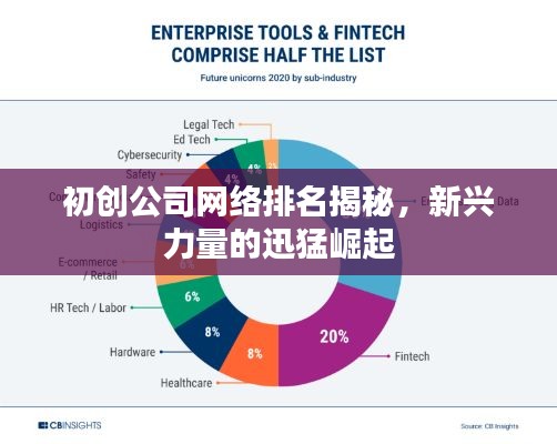 初创公司网络排名揭秘，新兴力量的迅猛崛起