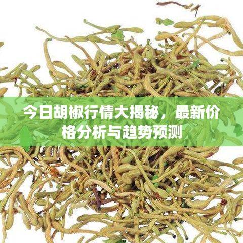 电缆桥架（各种材质） 第111页