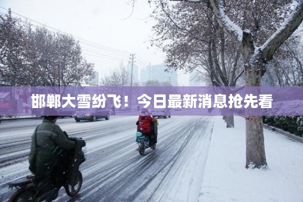 邯郸大雪纷飞！今日最新消息抢先看