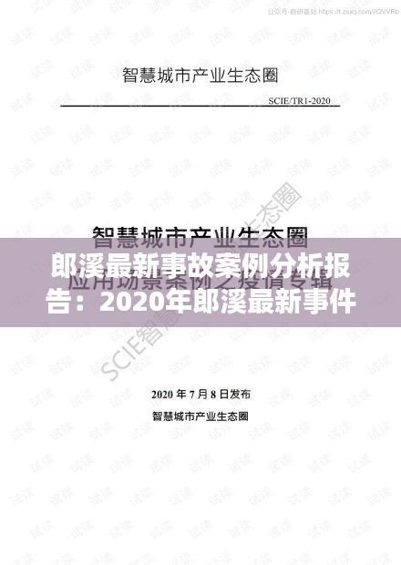 郎溪最新事故案例分析报告：2020年郎溪最新事件 