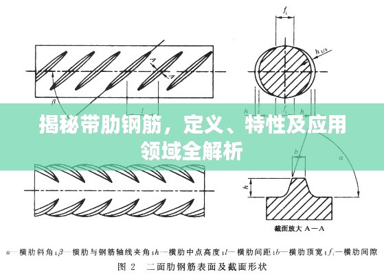 揭秘带肋钢筋，定义、特性及应用领域全解析