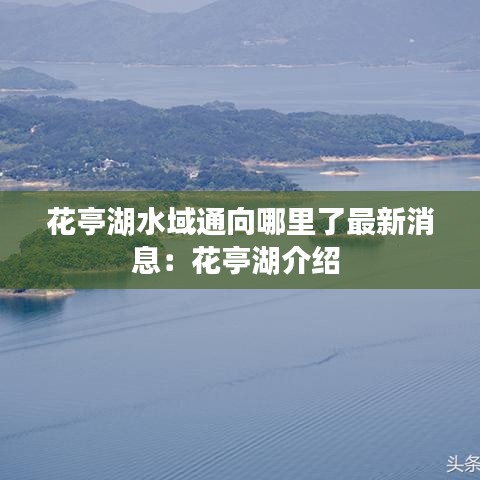 花亭湖水域通向哪里了最新消息：花亭湖介绍 